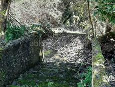 Дом в Сухуми.