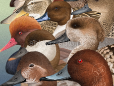 Alfa Romeo 156 Sportwagon