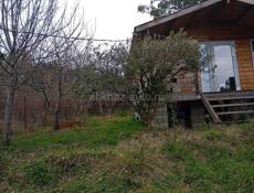 Срочно Мачарка