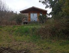 Срочно Мачарка