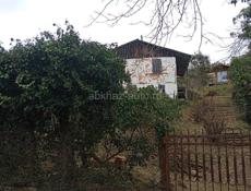 Срочно Мачарка