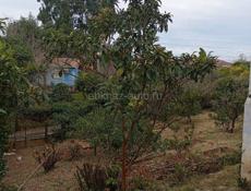 Срочно Мачарка