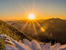 Куплю жилье 