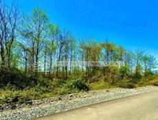 2 линия 6 СОТОК НА КАШТАКЕ