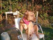 Сниму двухкомнатную квартиру или небольшой дом.