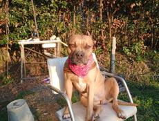 Сниму двухкомнатную квартиру или небольшой дом.