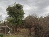 ПРОДАЕТСЯ ЗЕМЕЛЬНЫЙ УЧАСТОК 25 СОТОК 