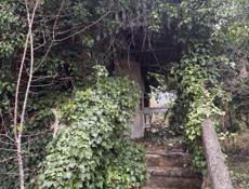 ПРОДАЕТСЯ ЗЕМЕЛЬНЫЙ УЧАСТОК 25 СОТОК 