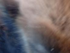 Бычок 5 месяцев 25 т