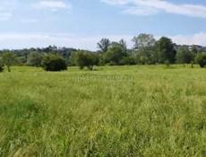 50 соток. Приграничная зона. Село Сальма. 