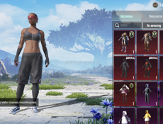 Аккаунт папг