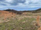 Срочно ЛАПСТАРХА, ЦАНДРЫПШ 