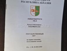 Срочно ЛАПСТАРХА, ЦАНДРЫПШ 