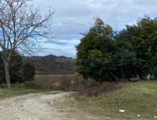 Срочно ЛАПСТАРХА, ЦАНДРЫПШ 