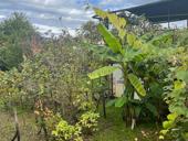 Срочно участок 3 🍋 