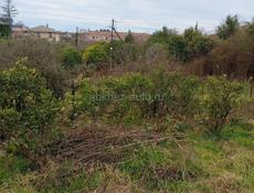 Срочно Мачарка