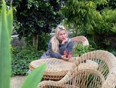 Озеленение, ФитоДизайнер