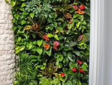 Озеленение, ФитоДизайнер