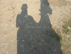 Куплю Лошадь