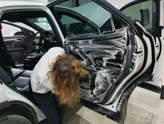 Химчистка салона автомобиля в Лидзаве🫧