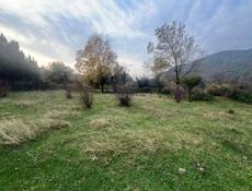 Продётся 20 сотыхов земли на Бзыбском ущелье напротив экофермы