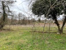 Продам дом с участком