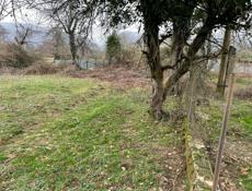 Продам дом с участком