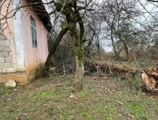 Продам дом с участком