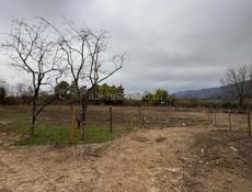 ОЧЕНЬ СРОЧНО! 