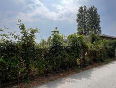 📌УЧАСТОК ЦАНДРИПШ 1-я БЕРЕГОВАЯ ЛИНИЯ