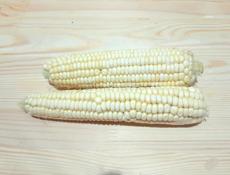 Кукуруза новая 