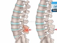 Сдам рабочее место