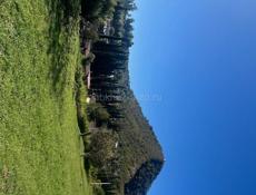 🚨 СРОЧНАЯ ПРОДАЖА участок в Новом Афоне