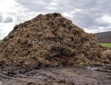 Продаётся навоз 