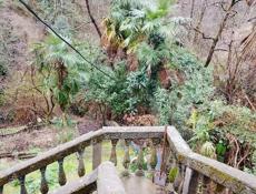 Дом в Сухуми.