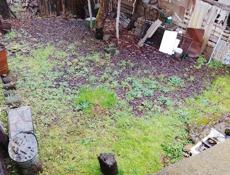 Дом в Сухуми.