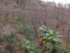 Дом в Сухуми.