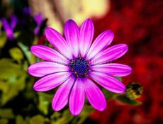 Требуется мастера в салон красоты 