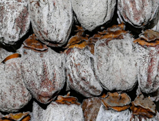 Куплю сушенную хурму 