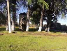 Участок 50 соток 