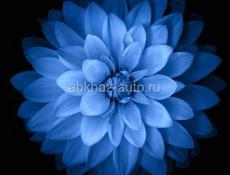 Продаются полосы метр 150 руб 