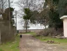 Дом возле моря