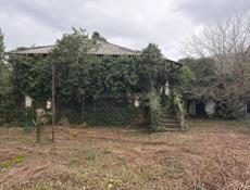 УЧАСТОК В КОЛХИДЕ. 25 СОТОК!!!