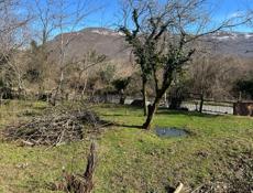 Команы рядом с рестораном 