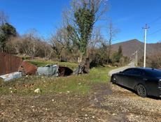 Команы рядом с рестораном 