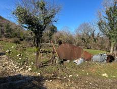 Команы рядом с рестораном 