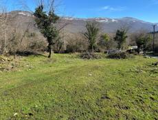 Команы рядом с рестораном 