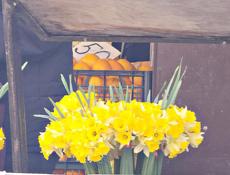 Срочно нужна неразведённая известь. Куплю. Пожалуйста, помогите! Сухум. Мне нужно всего-то 1 кг.