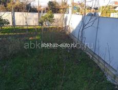 Саженцы Фруктов