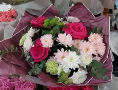 Гагра , участок .